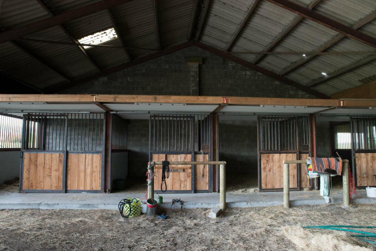 Boeren Biezen Bed Landelijk Villa ภายนอก รูปภาพ