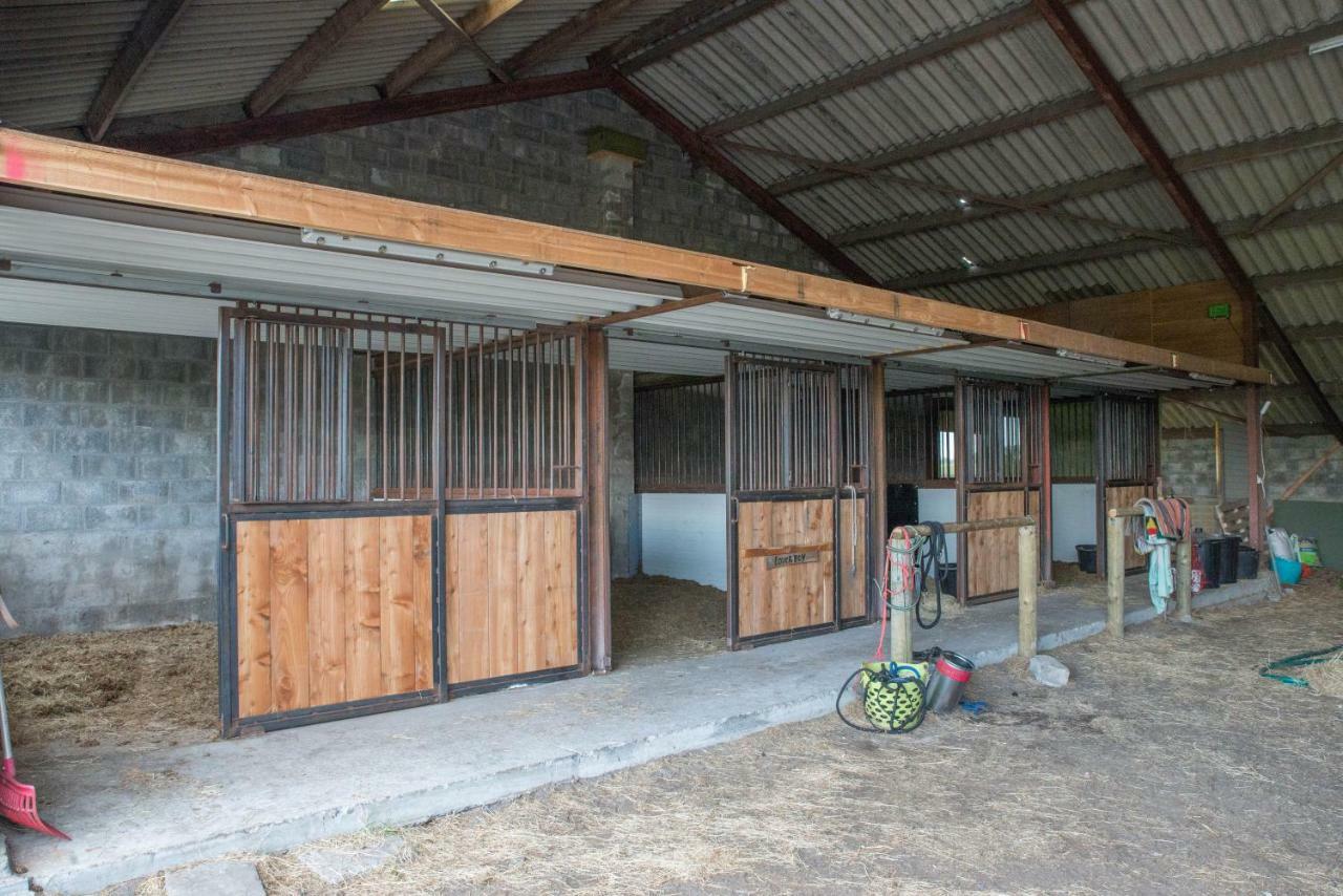 Boeren Biezen Bed Landelijk Villa ภายนอก รูปภาพ