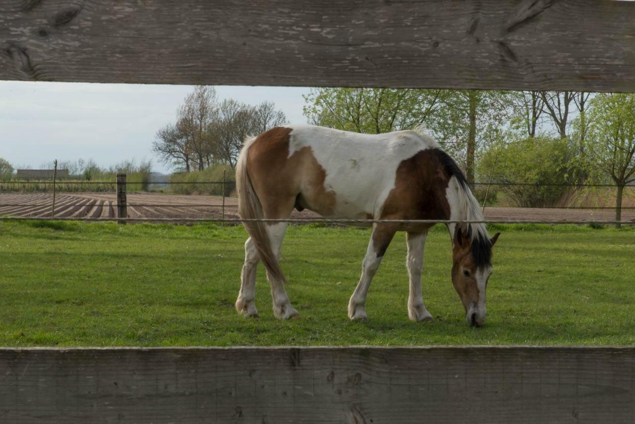 Boeren Biezen Bed Landelijk Villa ภายนอก รูปภาพ