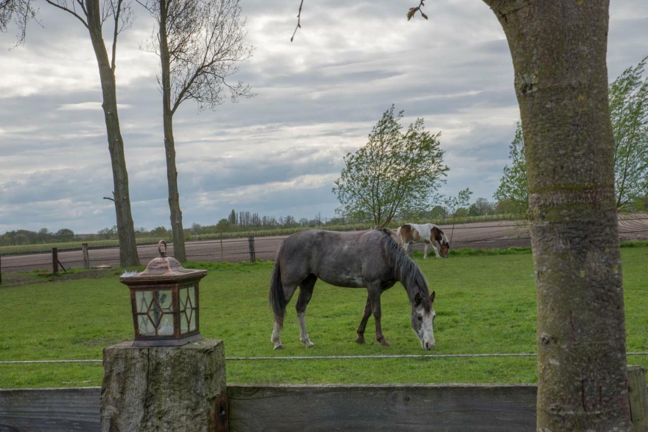Boeren Biezen Bed Landelijk Villa ภายนอก รูปภาพ