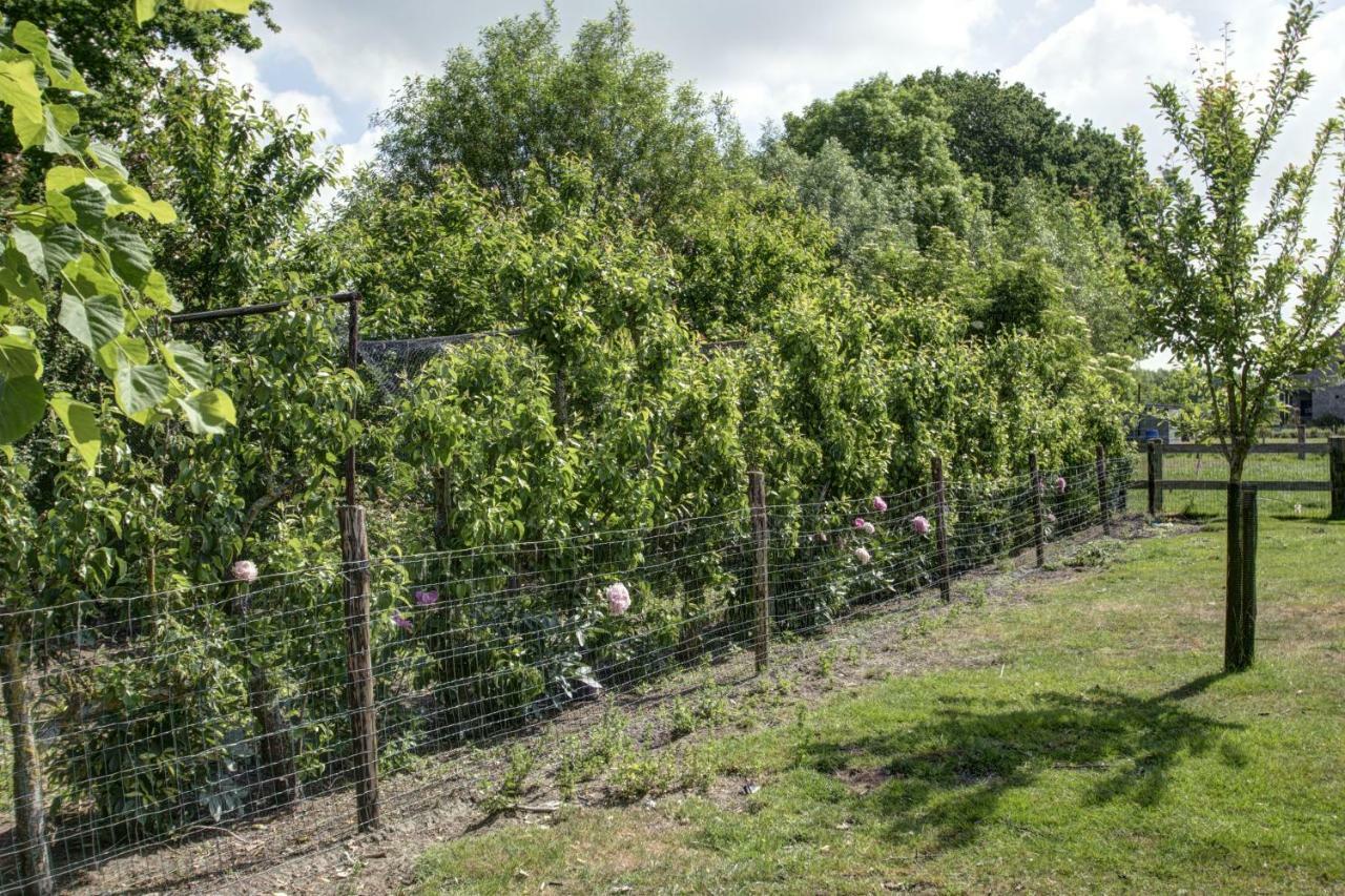 Boeren Biezen Bed Landelijk Villa ภายนอก รูปภาพ